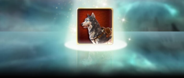 2020_09_08_4s_syberian_husky_zshop_slider_708x302.